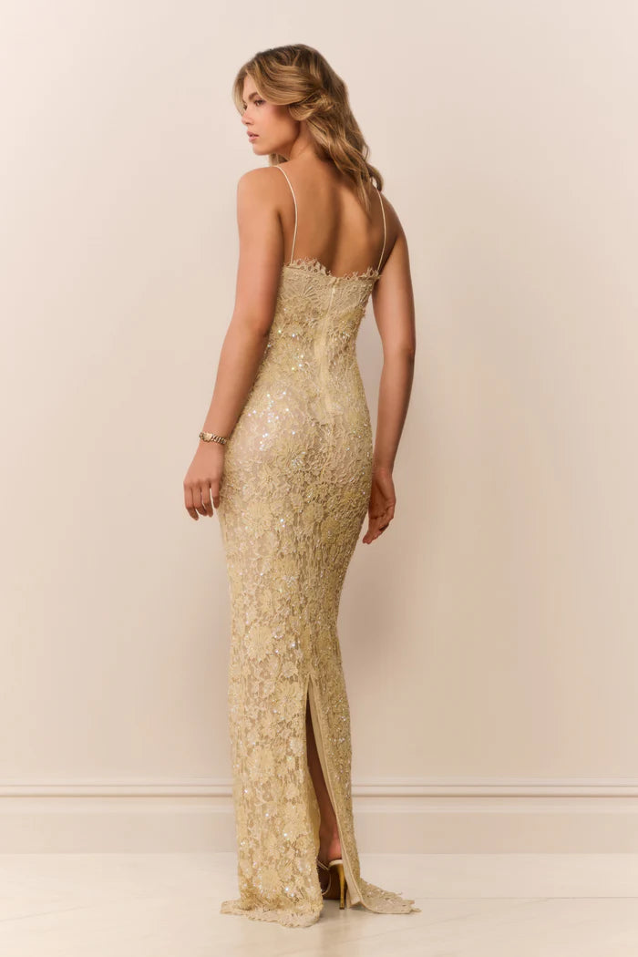Ciona Sequin Lace Gown
