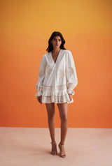 Ari Embroidered Long Sleeve Mini Dress