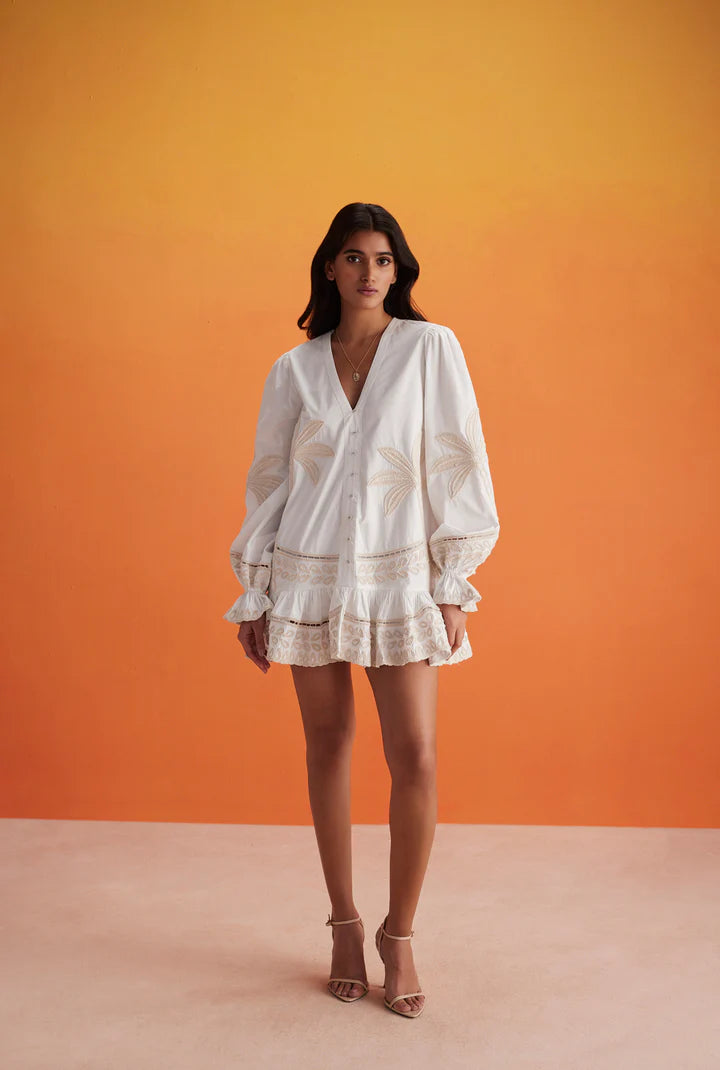 Ari Embroidered Long Sleeve Mini Dress