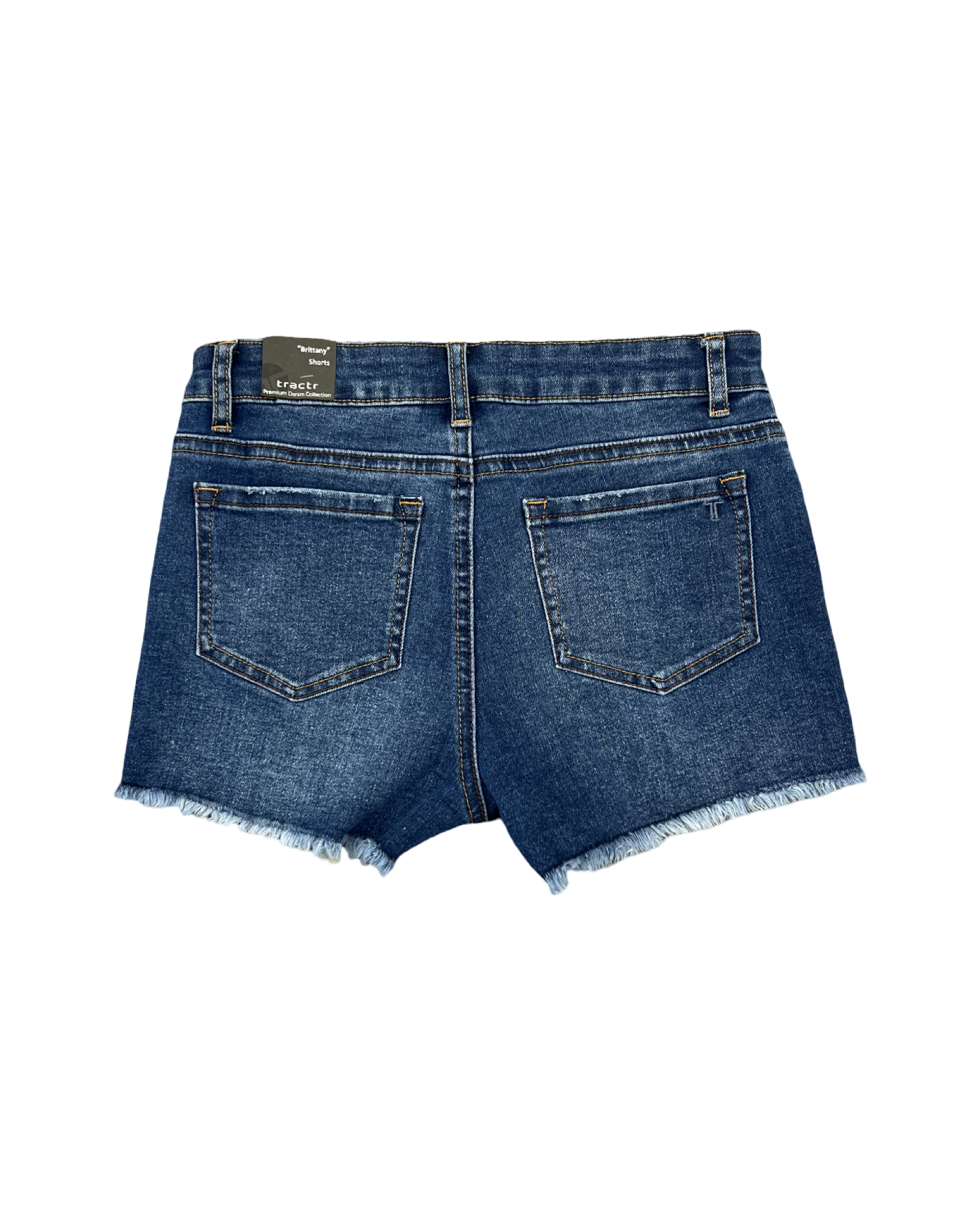 Indigo Raw Hem Brittany Denim Shorts