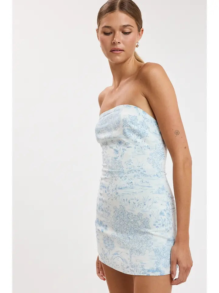 Blue Print Tube Mini Dress
