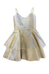 Girls Platinum shimmer Tinsley dress